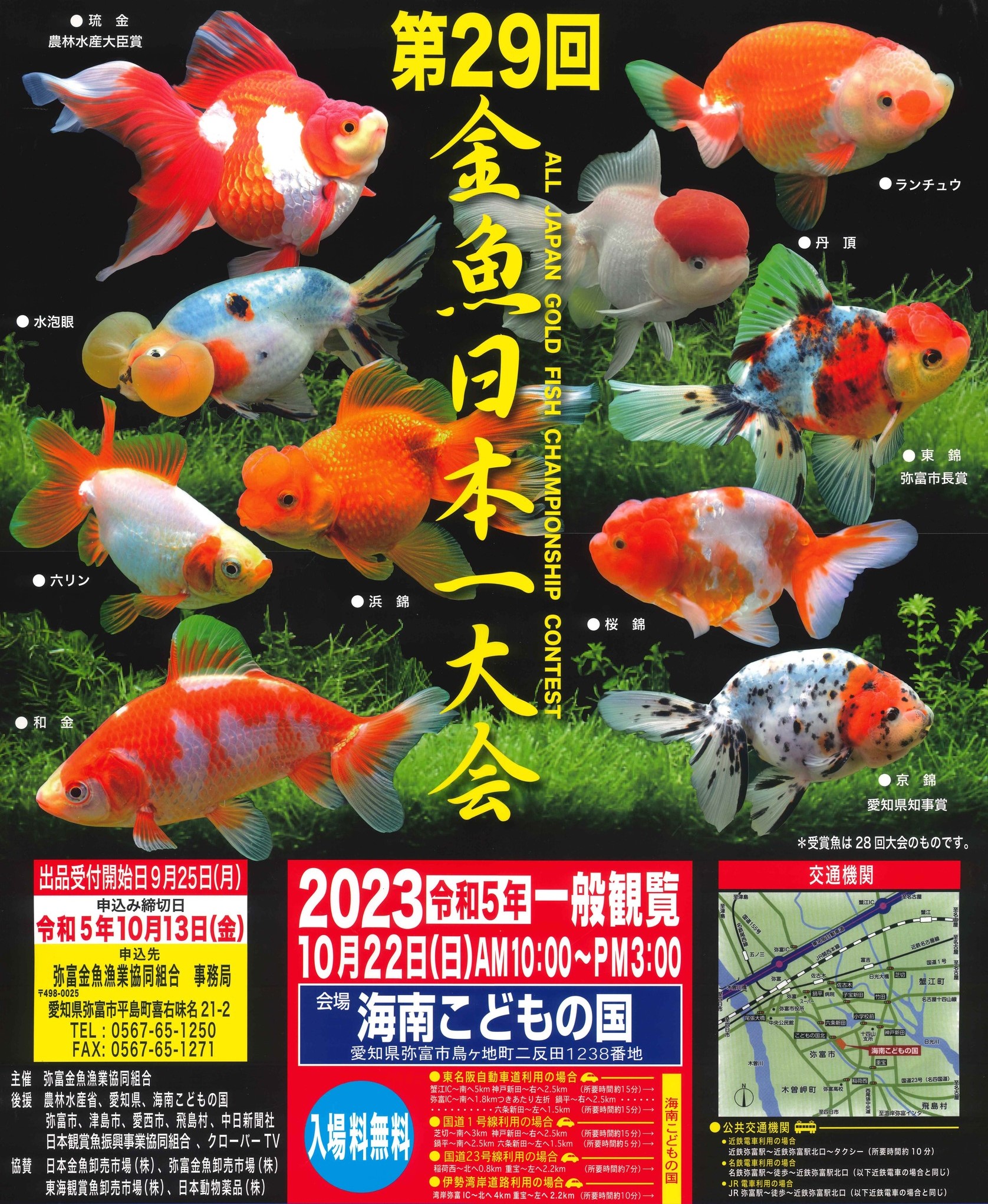 2023年度 第29回金魚日本一大会のお知らせです - 金魚のマルウ